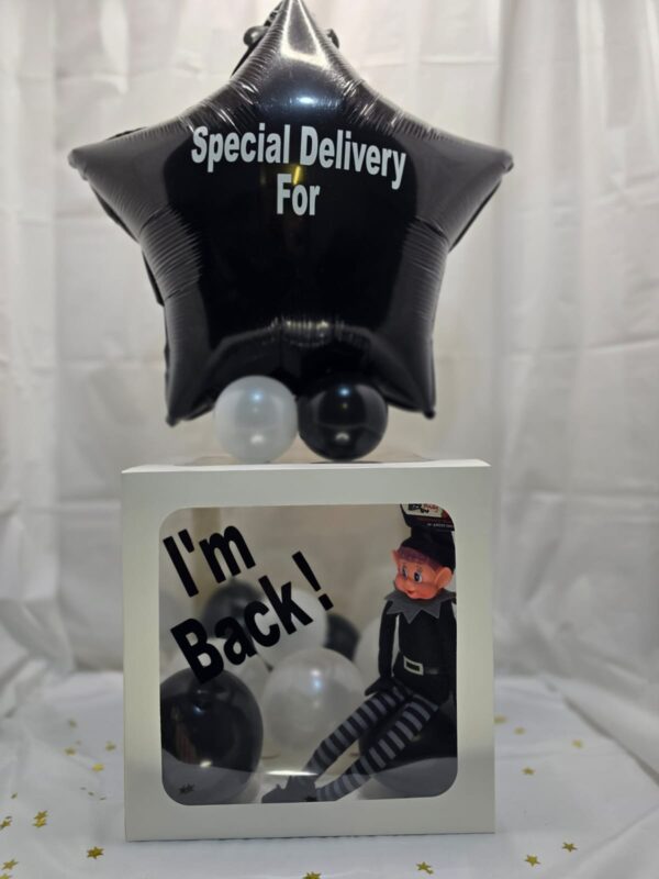 Black and white elf returns box